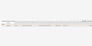 3414645report mensile excel light.png